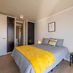 Modern Refuge In The Heart Of Providencia